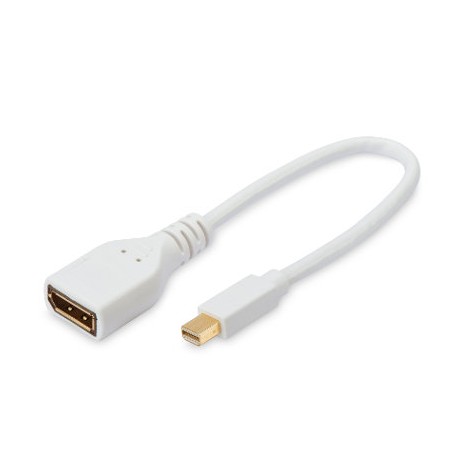 ednet DisplayPort Adapter Cable MiniDP(m) - DP(f) 0,15m