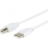 USB A-B Cable 5m